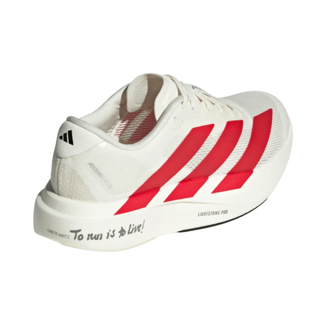 Adidas AdiZero EVO SL running shoe front design